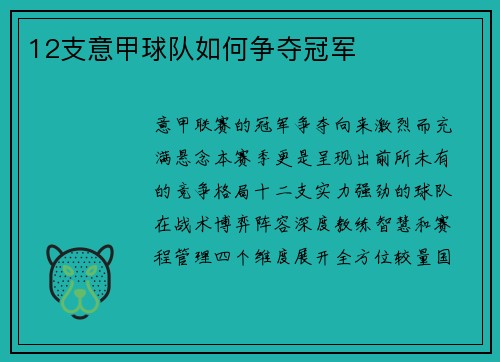 12支意甲球队如何争夺冠军